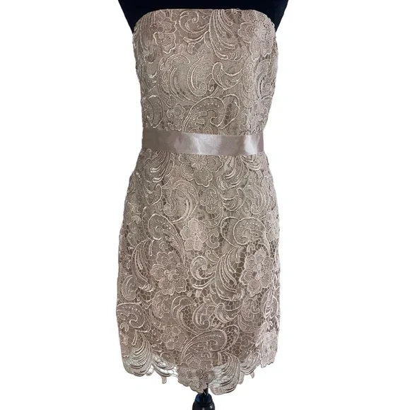Adrianna Papell Boutique Women’s Sheath Dress Champagne Lace Over Lay Size 8 - Picture 4 of 10
